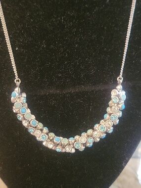 Fossil Silver Necklace with Turquoise Accents